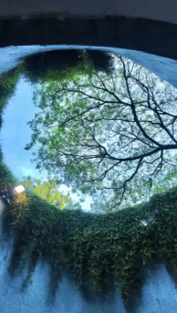 新加坡四天三晚攻略 不踩雷完美行程清單