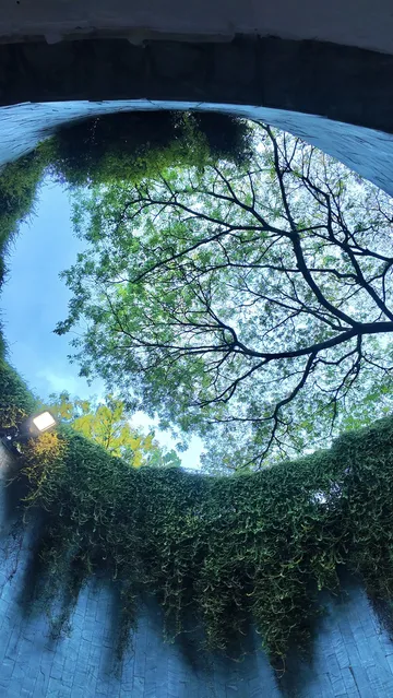 新加坡四天三晚攻略 不踩雷完美行程清單 新加坡四天三晚攻略 不踩雷完美行程清單