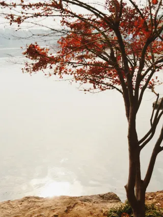 Wuhan East Lake Boat Tour Tested Guide|Even on cloudy days, there are small joys