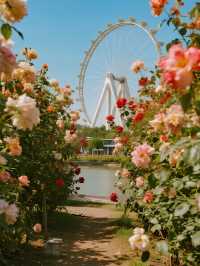 秋天的調色盤被打翻啦！毛茸茸彩色團子樂園