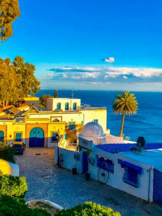 砂漠の異国情緒