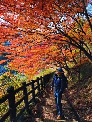 Kumano Kodo One-Day Dash: The Red Leaves Are at Their Best