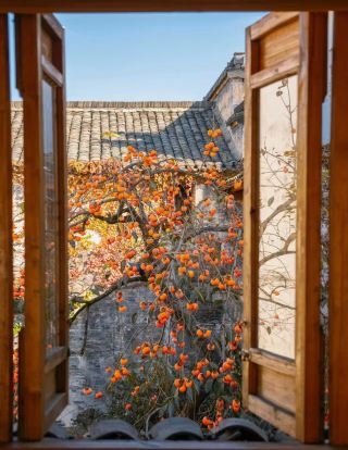 Xixinan Ancient Village｜A Green Wonderland at the Foot of Huangshan, A Stream, A Forest, A Thousand Years