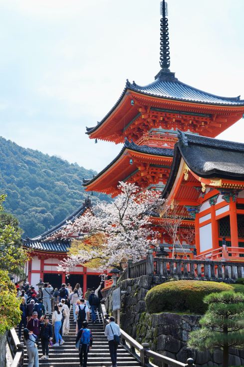 日本の桜観賞 京都 清水寺｜楽ちん必見！足を使わない攻略法 | Trip
