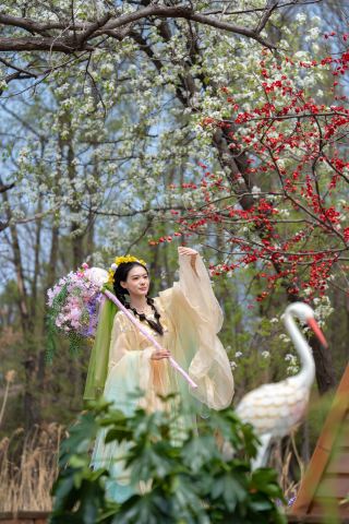 Traveling through a thousand years in spring! A Hanfu-clad woman strolls through Guimeng Mountain in Yimeng.