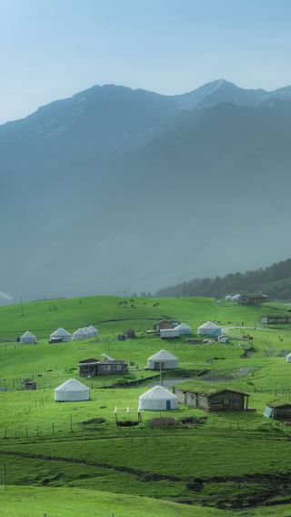 Tempat-Tempat Rahasia Bunga Liar di Padang Rumput: Negeri Ajaib Hijau di Xinjiang dengan Oksigen Alami