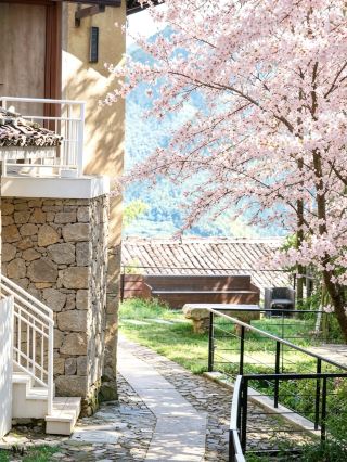 Shanye Yunye Homestay (Songyang Chenjiapu Branch): Nestled atop a cliff, a retreat to the mountains.