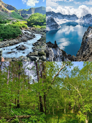 Exclusive Benefits Quick Code for Students 2026 Changbai Mountain Free Ticket Offer