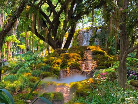 トロピカルフラワーカーテン トロピカルフラワーガーデンで気軽に仙気を撮影 | Trip.com 景洪
