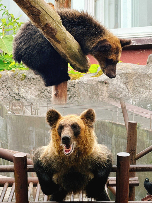 北海道の伝説！登別の親子で楽しむ穴場スポット | Trip.com 登別