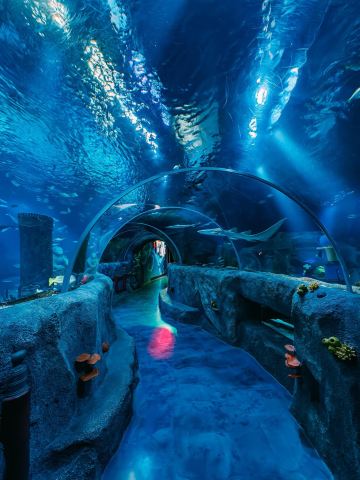Must-Visit Family Treasure Next to LEGOLAND® Japan: The Azure