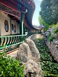 保定美景“蓮漪夏艷”:古蓮花池