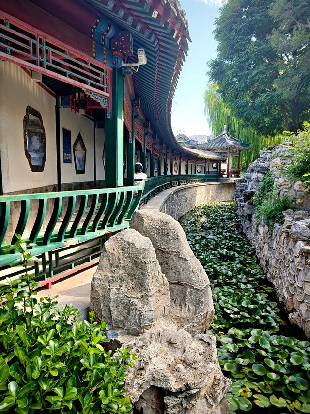 保定美景“蓮漪夏艷”:古蓮花池
