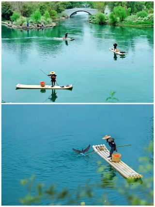 Guilin Elephant Trunk Hill guide|A thousand-year poetic landscape hidden in the city