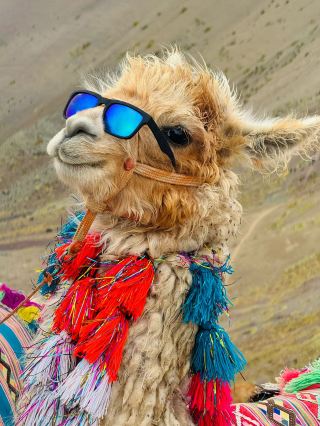 12-day detailed South America travel guide you can’t miss