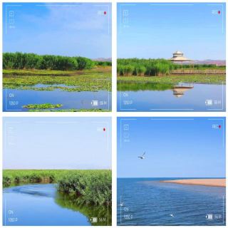My Bosten Lake Epic: The Moment the Desert Wind Stole My Breath