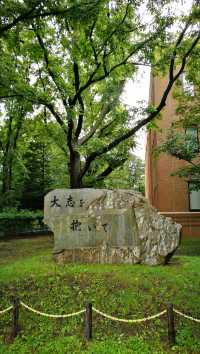 札幌｜這裡有一所學校叫「北大」