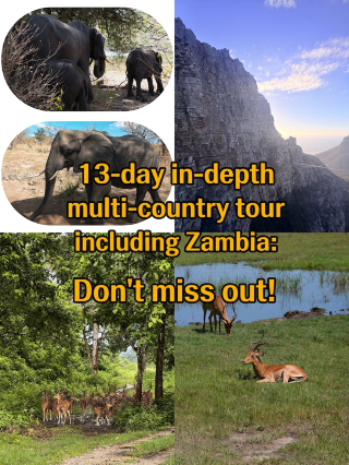 Summer multi-country trip guide to Zambia—just copy this itinerary