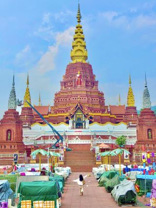 I flew all the way to Xishuangbanna just for these 18 live photos!!