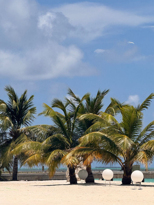 An Unforgettable Vacation