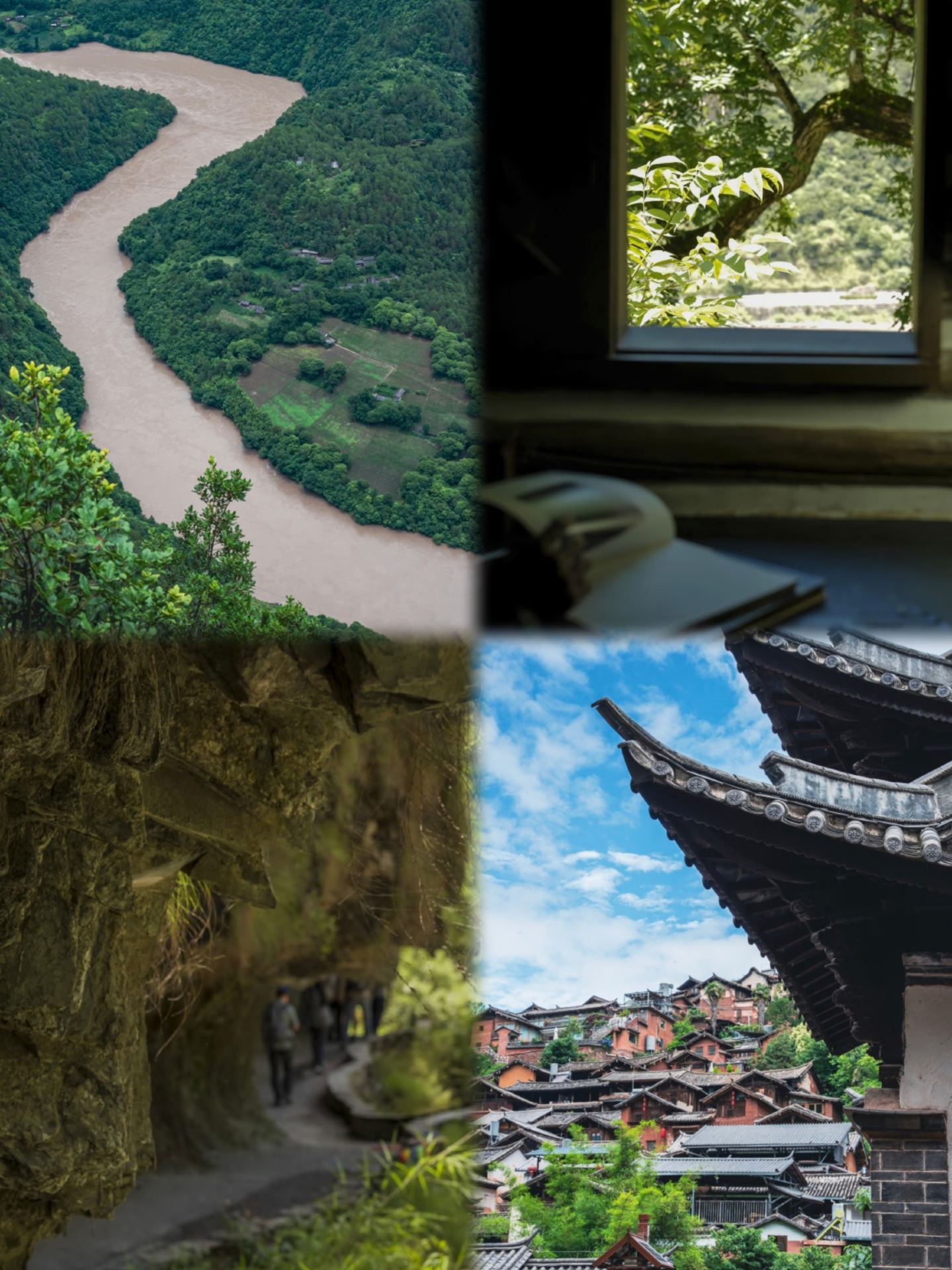 Cuộc tàn sát ở Lishui đã quay trở lại. Sau bốn ngày sống, quan niệm về tiêu dùng của tôi sụp đổ. Tôi không nói nên lời.