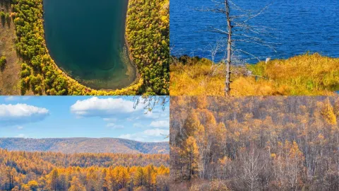 Spent three days in the Greater Khingan Mountains, the train passed through golden forests — traveler post in Mohe