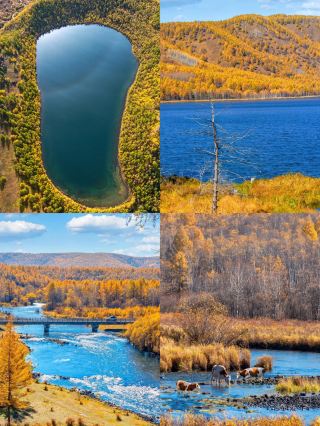 Spent three days in the Greater Khingan Mountains, the train passed through golden forests