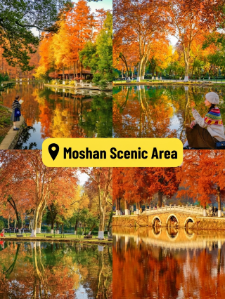 Autumn in Wuhan is truly breathtaking! Save this autumn guide, and when the autumn colors are at their peak,