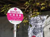【高知市】四国霊場第31番札所🙏