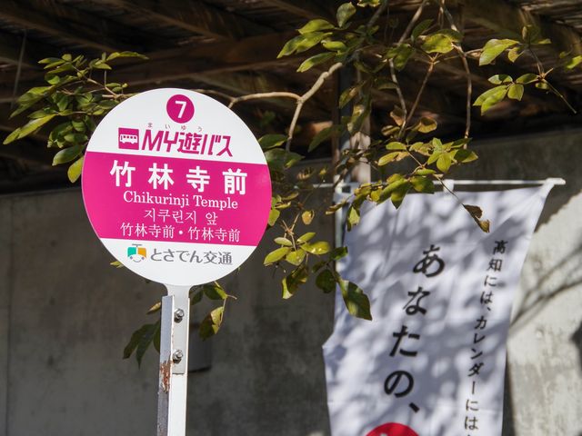 【高知市】四国霊場第31番札所🙏