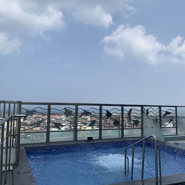제주 온수풀에서 수영하며 노을볼 수 있는 호텔🏢 [제주_롯데시티호텔]