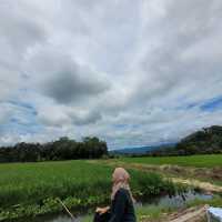 LUNCH WITH KAMPUNG MENU AND VIBES 