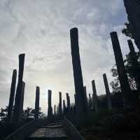 Wisdom Path 