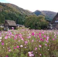日本中部白川鄉