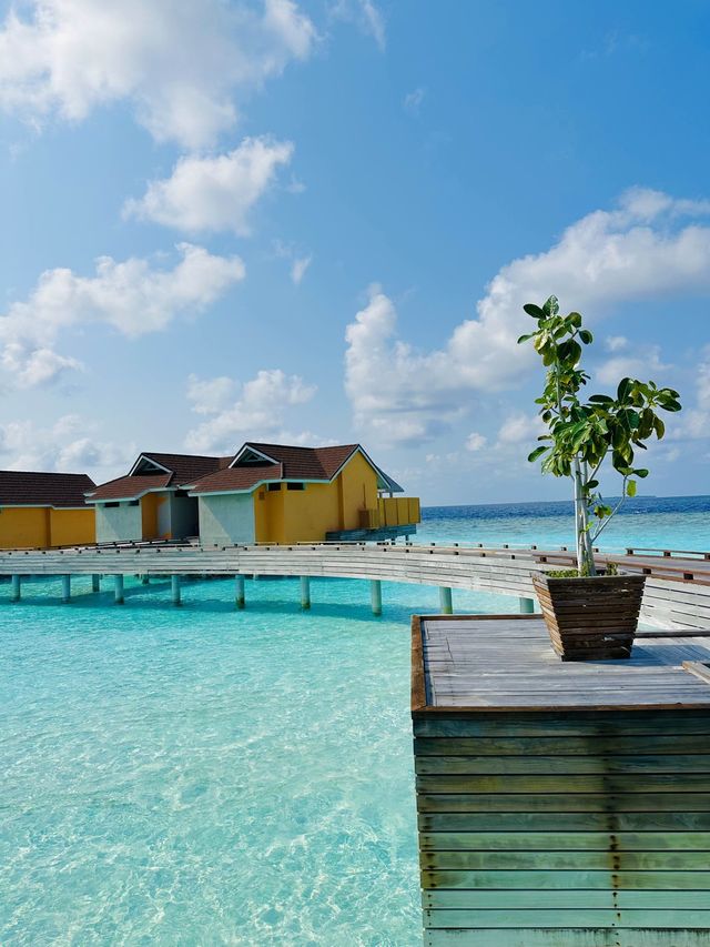 Vacation of my dreams in Maldives!