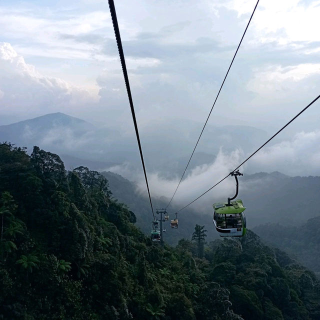 Viewing Natural Forest When Taking Skyway