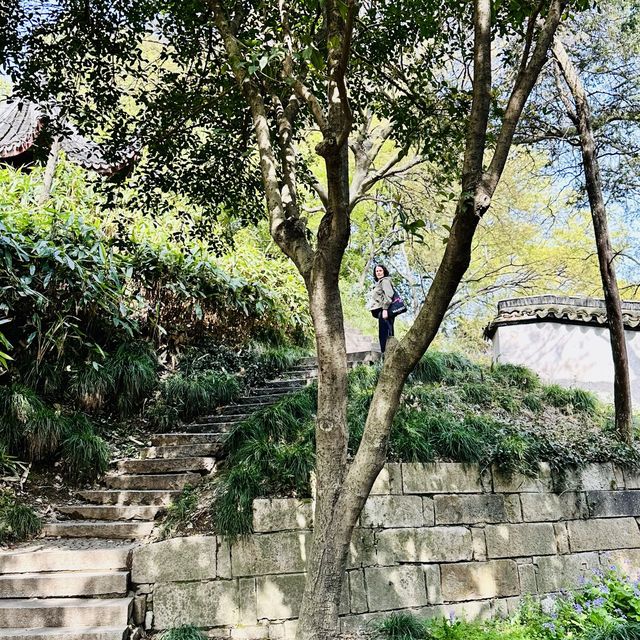 Serene Charm of Tiger Hill in Suzhou, China