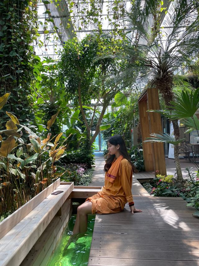 힐링여행 즐기기 in ‘양평’ 🍃