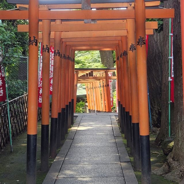 日本第一座公園:上野恩賜公園