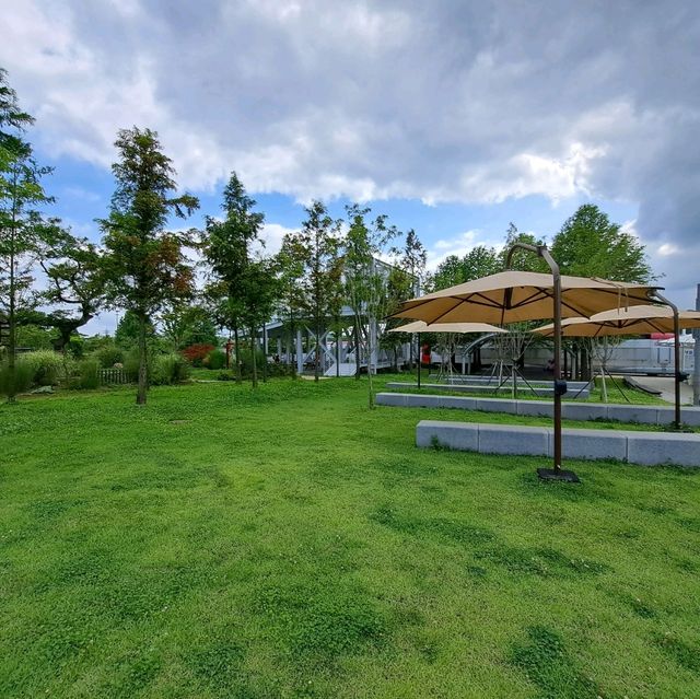 韓國景點😍義王鐵道自行車☺️風景優美⭐打卡靚📸