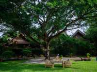 รีสอร์ทริมน้ำอัมพวา บรรยากาศดีมากเลยนะ