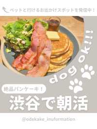 【渋谷】わんこと行ける朝活カフェ☀️