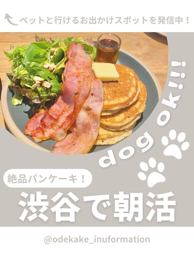 【渋谷】わんこと行ける朝活カフェ☀️