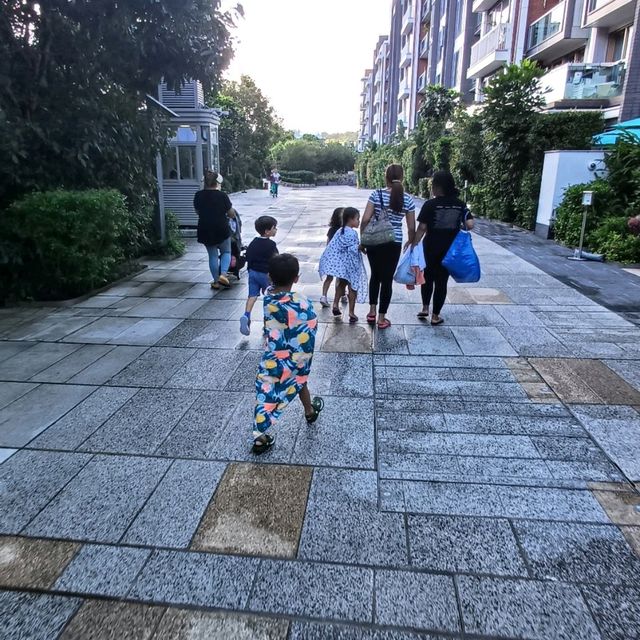 傲瀧鳥語花香！美不勝收！