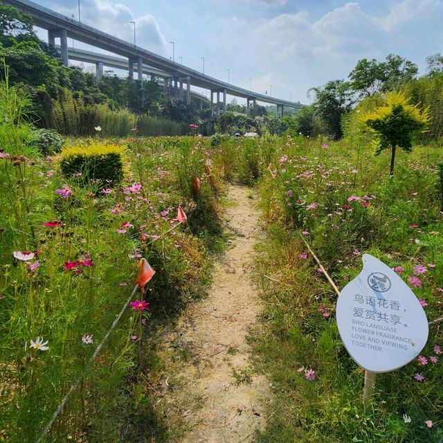 ▍療癒之旅 ▍深圳都市田園：忘卻喧囂，尋覓愜意自然美景 