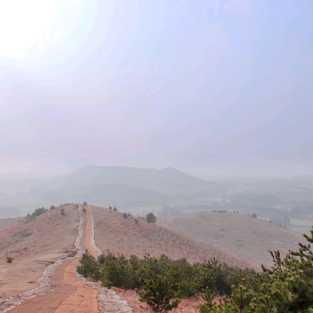 제주도 바람을 여기서 다느꼈다