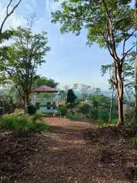 Bukit h 