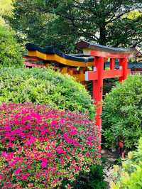 【東京/根津神社】文京つつじまつり