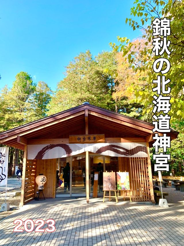 北海道　北海道観光　札幌の旅　北海道神宮の紅葉が見頃！