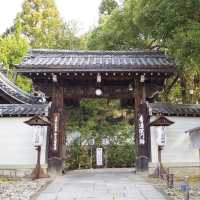 《京都》穴場の観光SPOT🐥